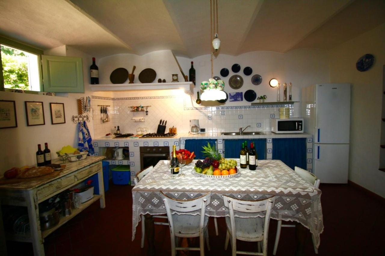 Villa Paradiso Castiglioncello Eksteriør bilde